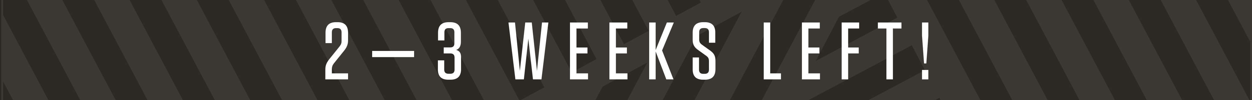 2-3 Weeks Header