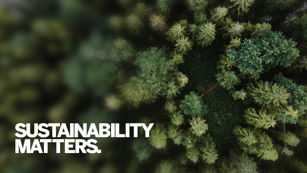 https://www.herffjones.com/wp-content/uploads/2021/08/trees_T4_header-1.jpg