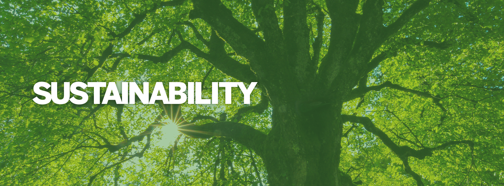 Sustainability